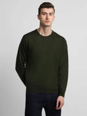 Men's Olive Solid Acrylic Pullover sweater