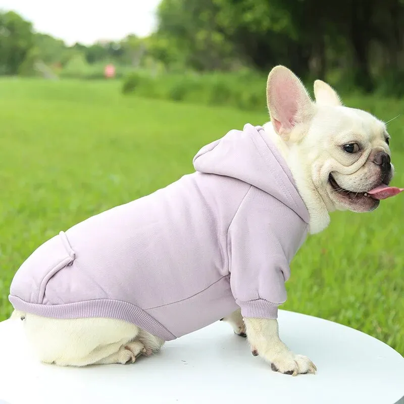 SnugTail French Bulldog Sweater Sports Style Pet Clothes